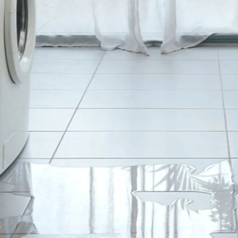 Appliance Leak Cleanup in North Madison, IN