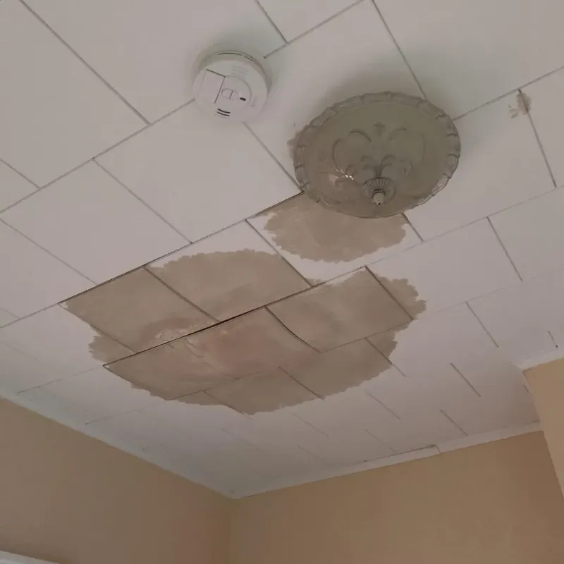Ceiling Water Damage Repair in North Madison, IN