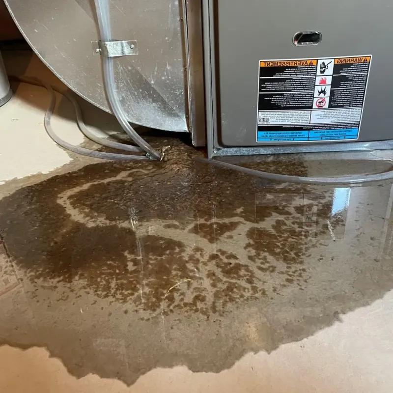 Pipe Burst and Leak Restoration in North Madison, IN