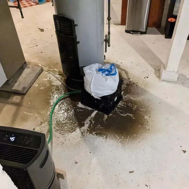Sewage Backup Cleanup Service in North Madison, IN